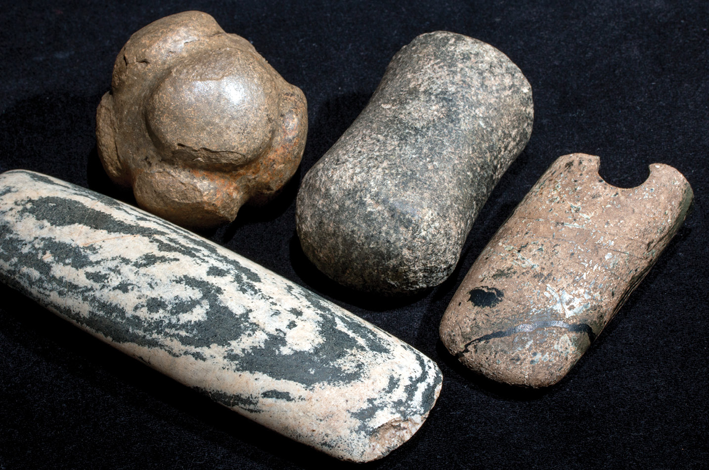 left A selection of polished stone artefacts from the site. They include the only carved stone ball yet recovered from the Ness: it had been incorporated into the foundations of Structure 10 when it was rebuilt, possibly as a votive gesture.