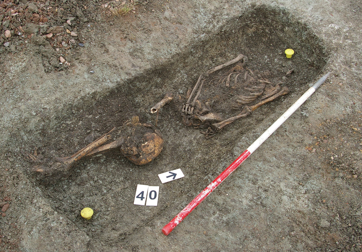 above The majority of burials were supine, their occupants laid flat on their backs, but some were strikingly different not least this individual who had been decapitated, their head placed under their knees. Closer examination of their remains reveals cuts to the mandible and vertebrae that suggest they were beheaded with considerable violence.