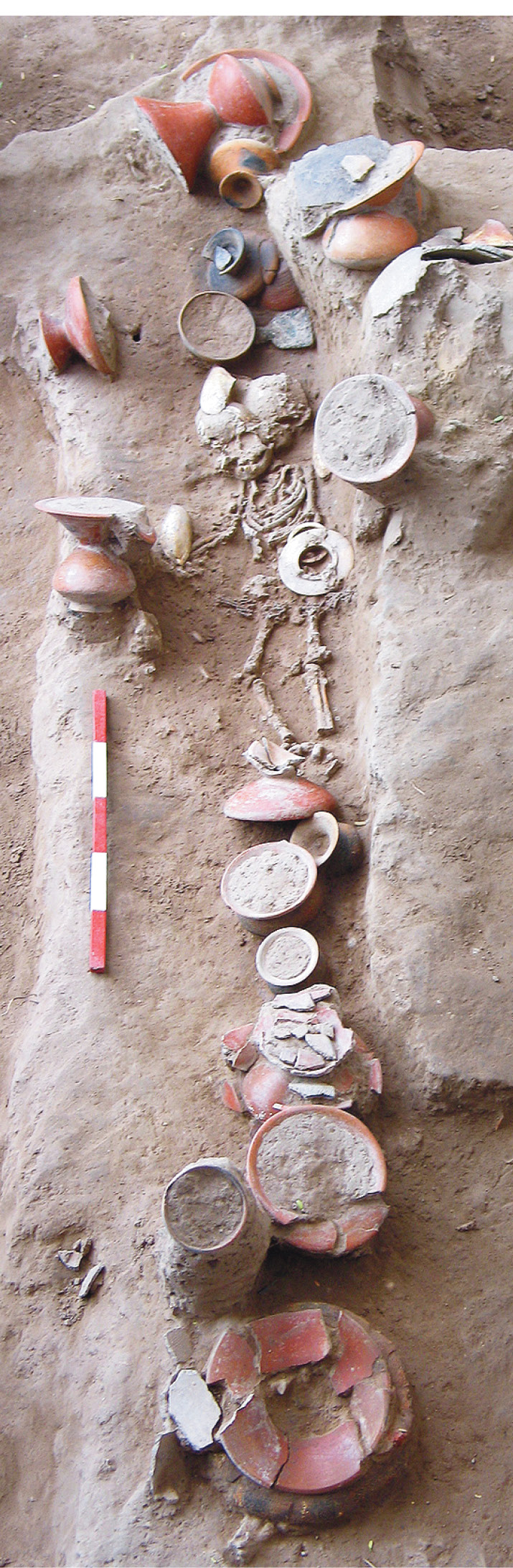 BELOW This tiny infant was buried with 20 pots, 2,154 shell beads, and a copper axe. Note, too, the bivalve shells, which we think symbolised rebirth. The big bangle is made of marble.