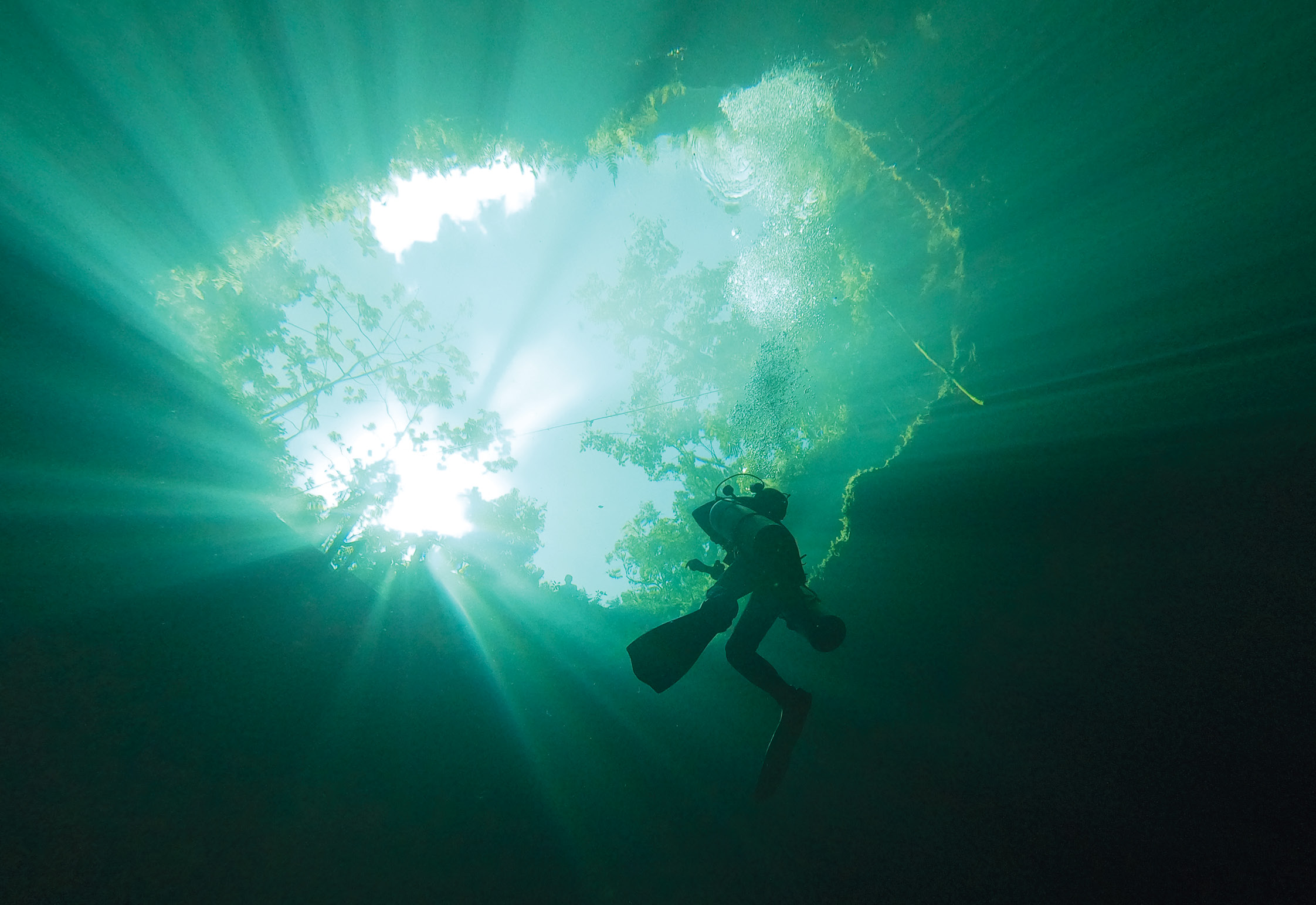 Above Seen from underwater, the cenotes resemble windows opening into the immensity of the Great Maya Aquifer.
