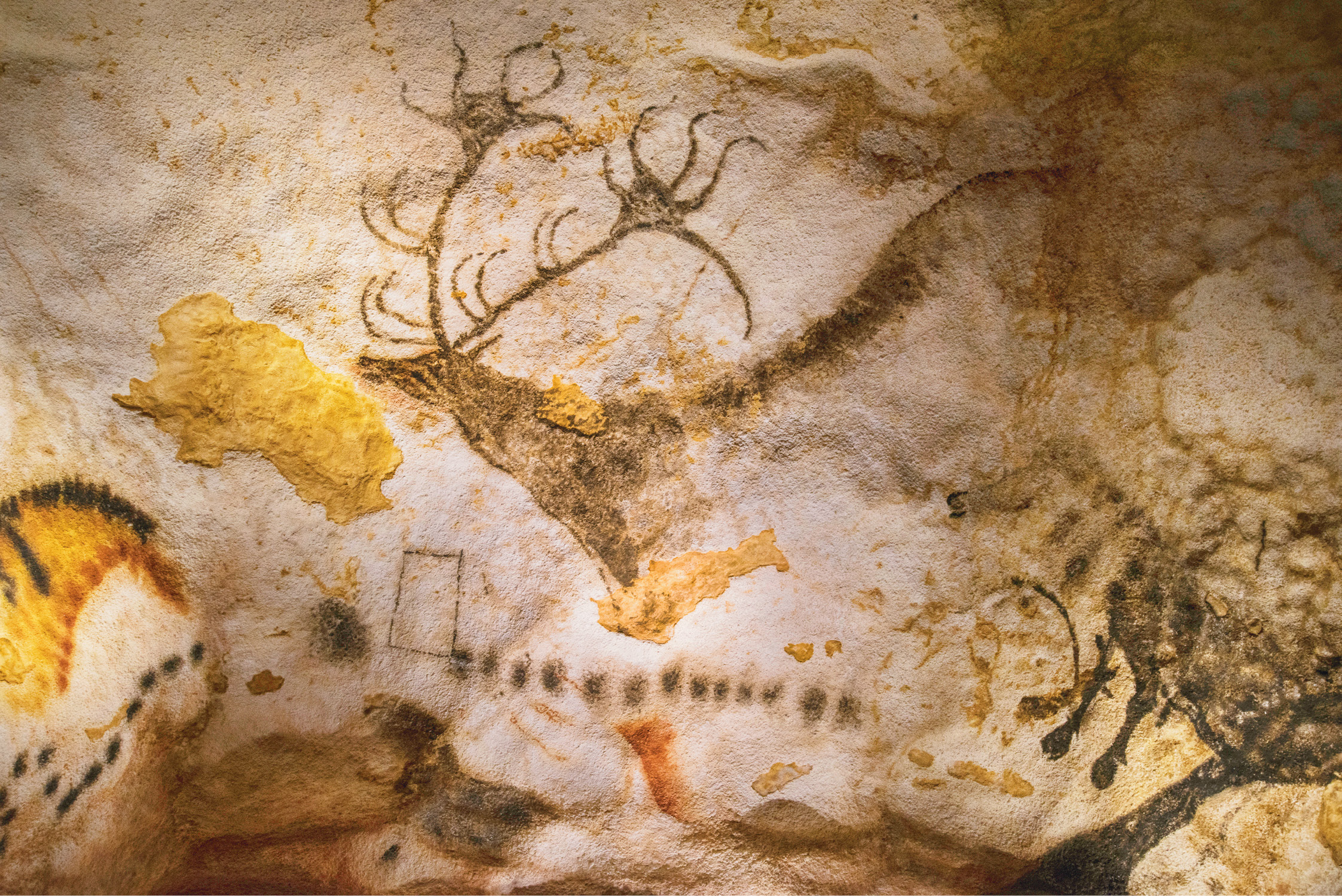 Above A deer in the Painted Gallery at Lascaux IV.