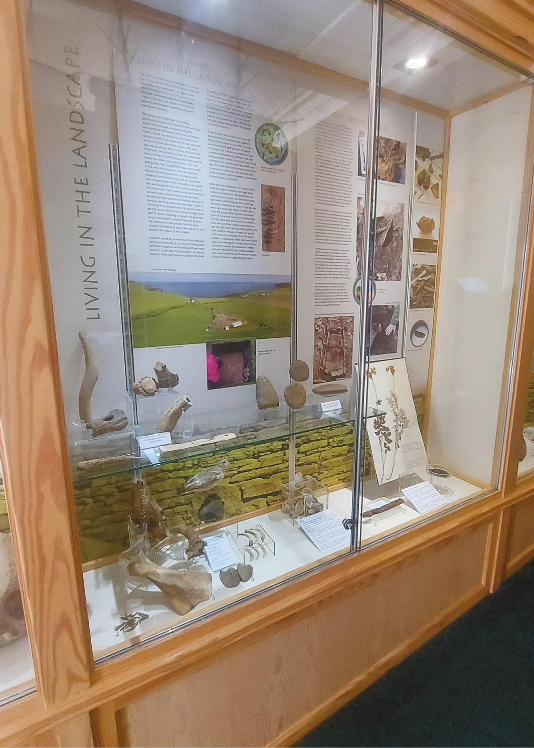 opposite Displays focus on an Iron Age broch, highlighting what life was like at the site c.2,000 years ago.
