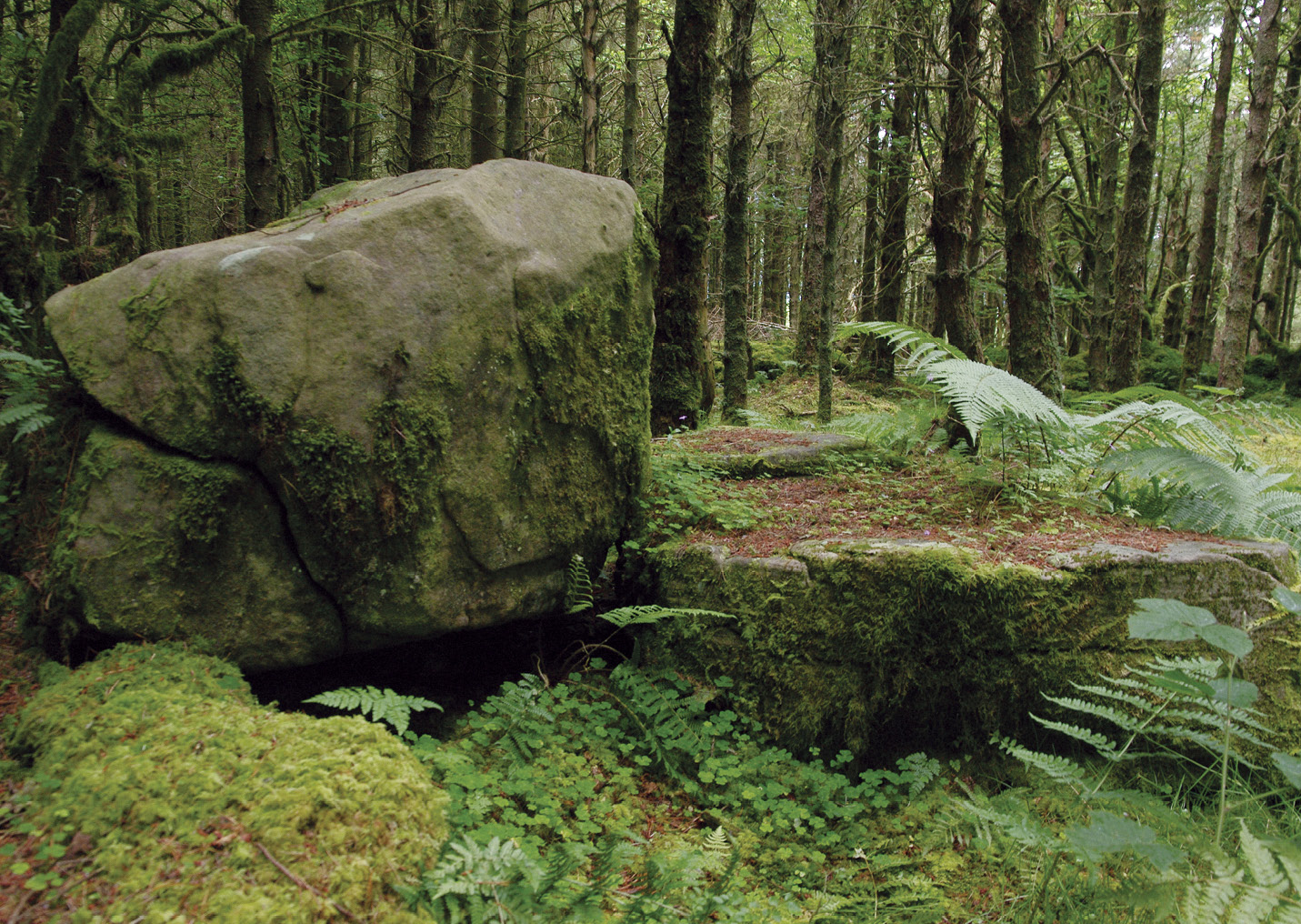 BELOW Although today they often stand in splendid isolation, dolmens were originally constructed in wooded landscapes strewn with glacial erratics yet to be cleared by the first farming communities.