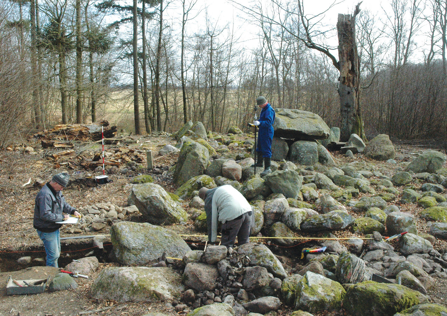 left Gunderslevholm under excavation, showing the boulders and split stones forming a platform around the dolmen.