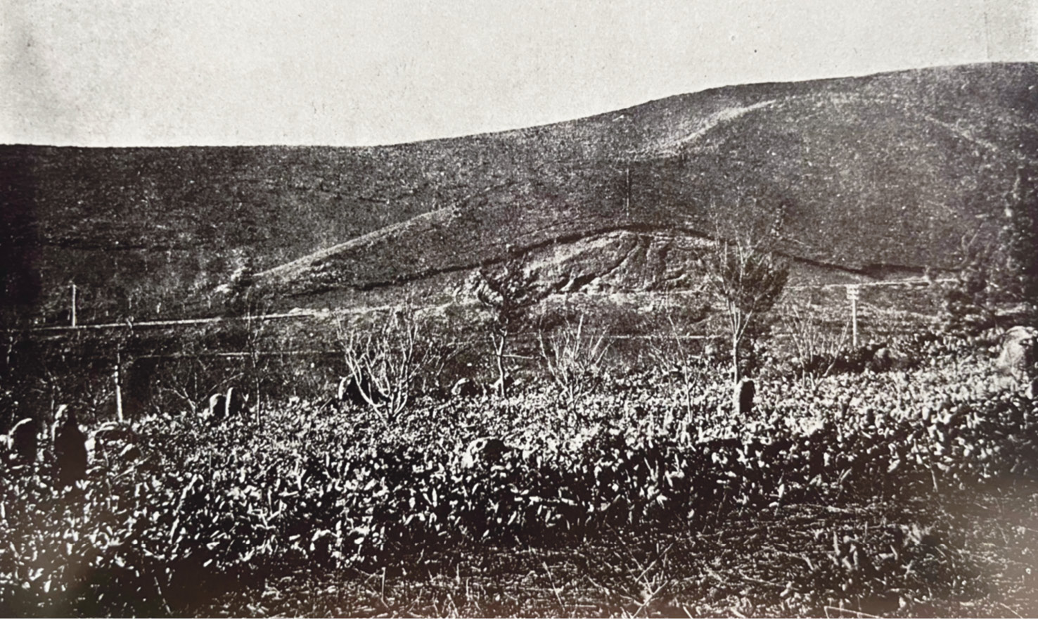 LEFT A photograph taken by Neil Gordon Munro and published in 1908 of the stone circle at Oshoro.
