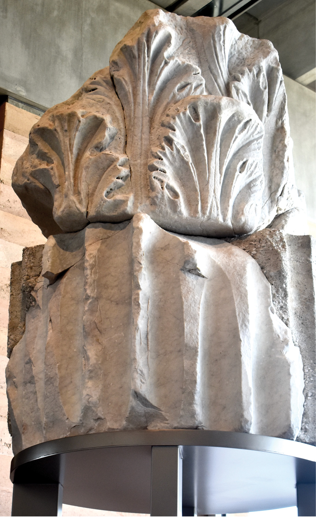 ABOVE Two massive fragments from the Capitoline Temple, of Carrara marble, late 1st century BC. The acanthus leaves belong to the lower half of a Corinthian capital, the whole of which is estimated to have been 2.10m tall.