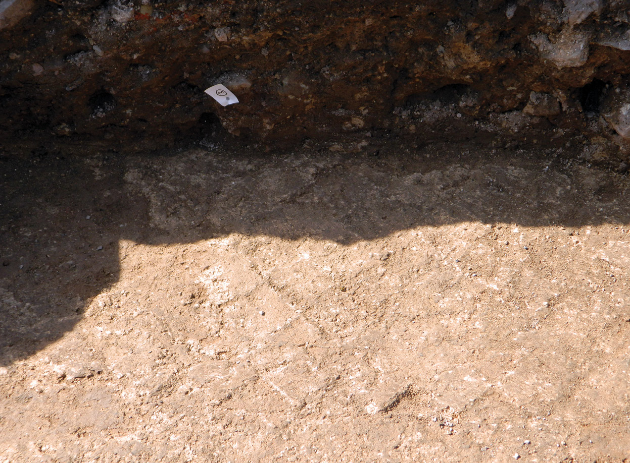 above The impression of tiles in the 2m-wide walkway was a key factor in its interpretation as part of a cloister. Ripped up during the Dissolution, a number of tile fragments were unearthed, including (inset) this example with an eagle design from the Wessex group.