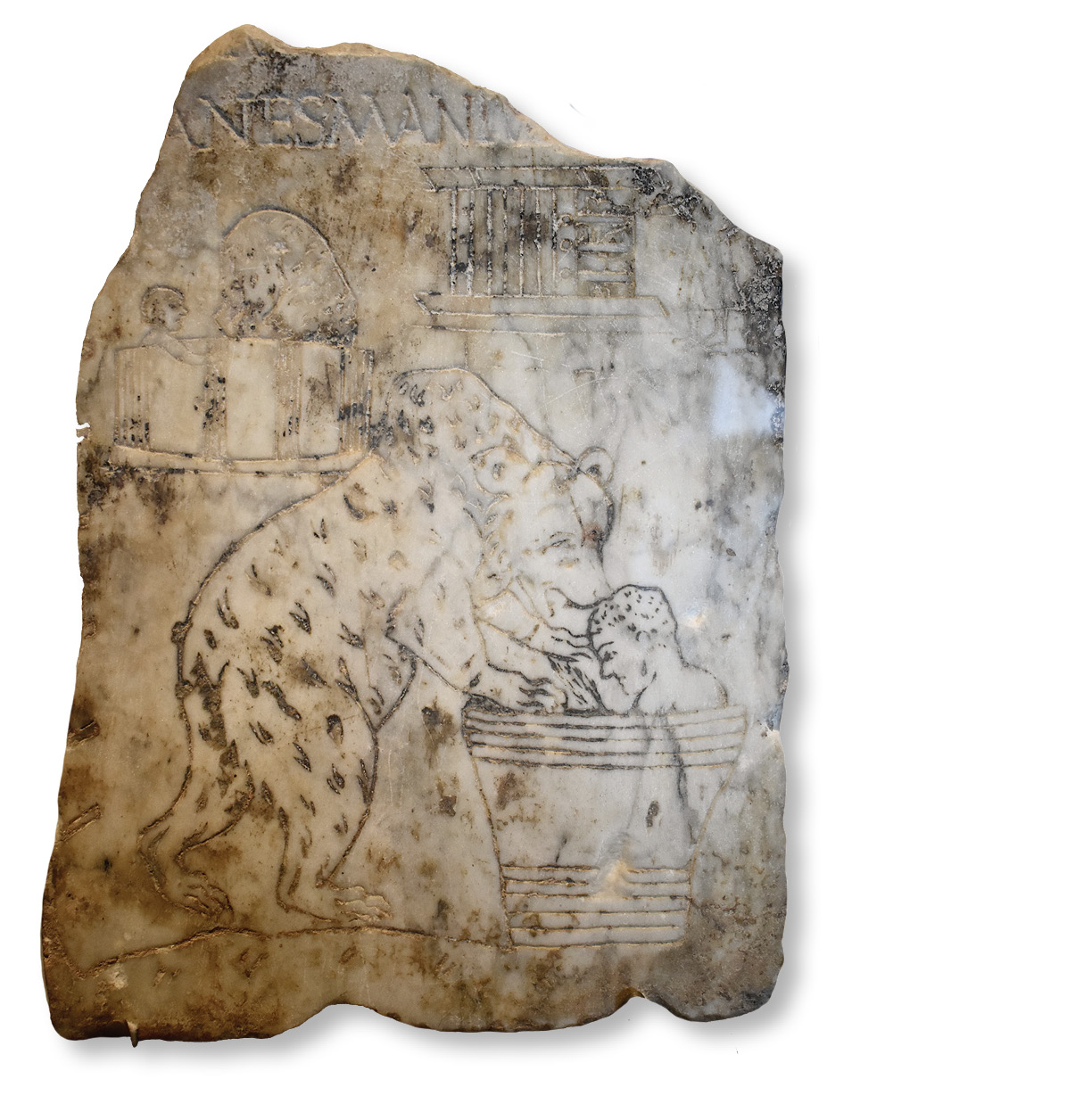 right Damnatio ad bestias: marble relief showing condemned men chained (?) inside basins and mauled by bears. What may be a beast cage is depicted at the top. far right The tombstone of a baker (pistor), the freedman Marcus Careieus Asisa, made during his lifetime for him, his wife, and his daughter. Marcus' flour-mill and his pet dog feature in the relief. These two stones are not shown to the same scale.