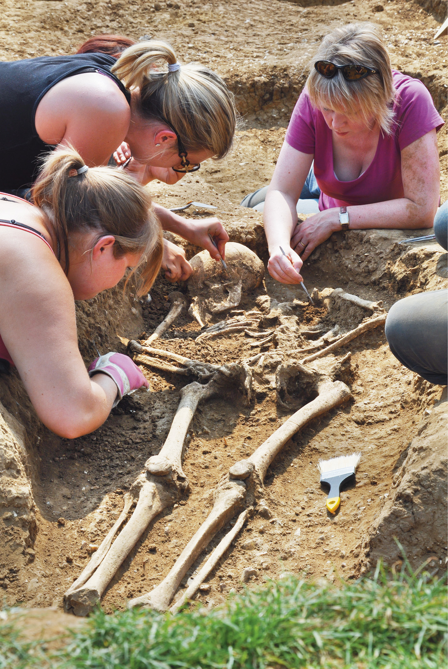 ABOVE Students and volunteers excavate Grave 112 at Oakington, Cambridgeshire, in 2013. Post-excavation analysis, including sampling for aDNA, revealed its occupant to be a mature man aged 45 years or older, who had near-100% CNE ancestry.