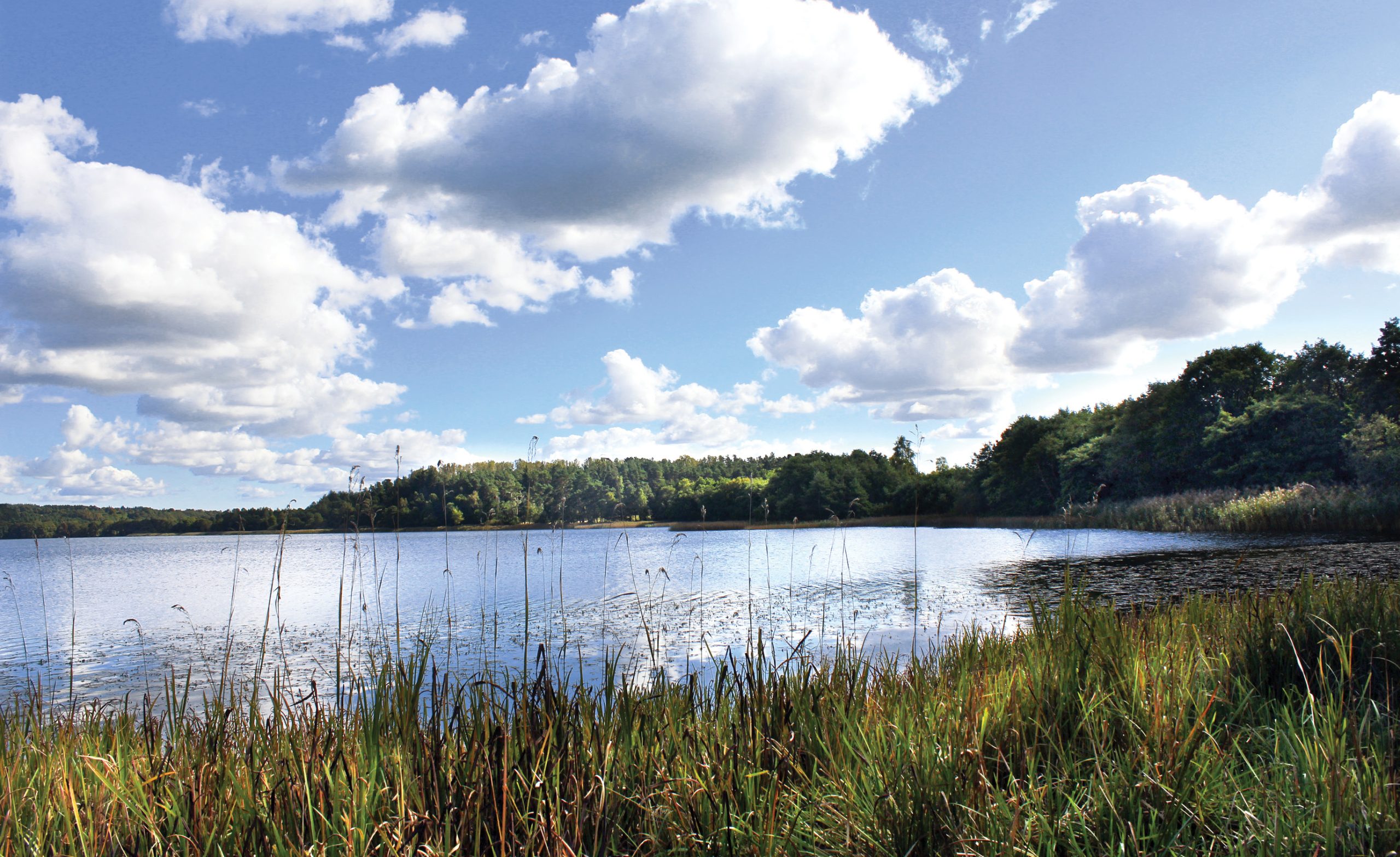 main image The tranquillity of Lake Mossø belies its dark secret. below Alken Enge, east of Lake Mossø, where the excavations took place.