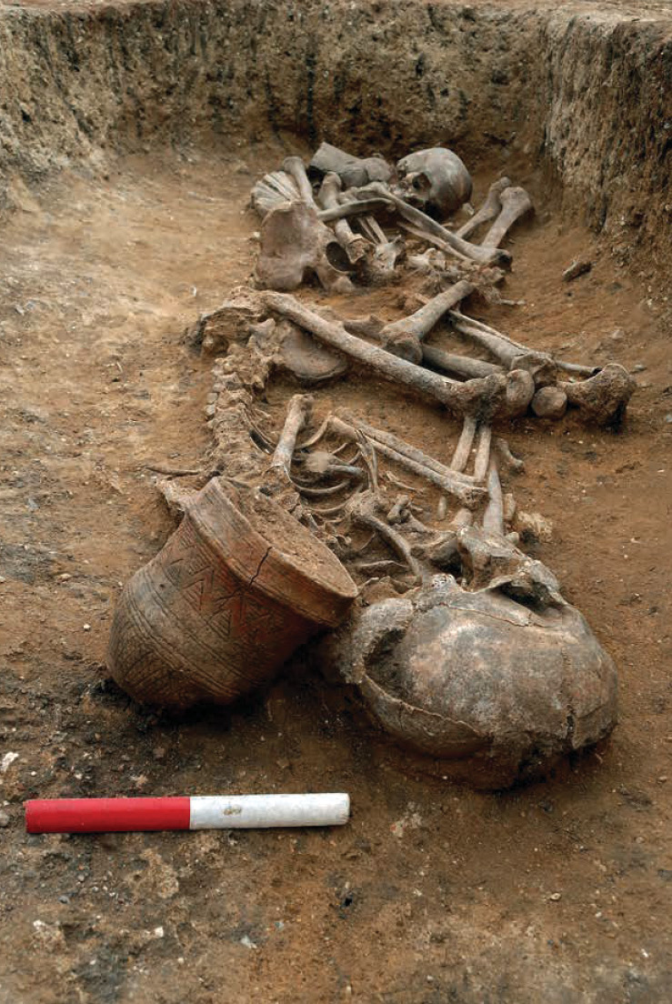 Above A double Beaker grave from Trumpington Meadows in Cambridgeshire, excavated by the Cambridge Archaeological Unit. It contained two individuals in their late teens, one male and one female, as well as two distinctive Beaker vessels. Such pots are commonly found next to crouched human burials, giving these graves their name.