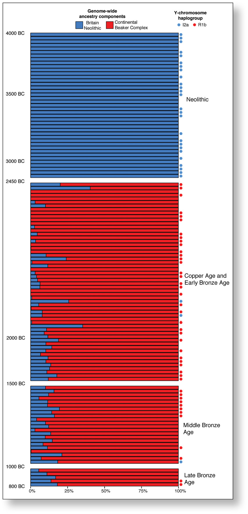 left This figure from the Nature paper that recently published the results of this project starkly illustrates the rapid integration of Continental Beaker Complex-associated groups into the British population. Each bar represents the entire genome of one sampled individual from Britain: blue indicates the proportion of Neolithic ancestry, and red the proportion of central European-associated lineages.