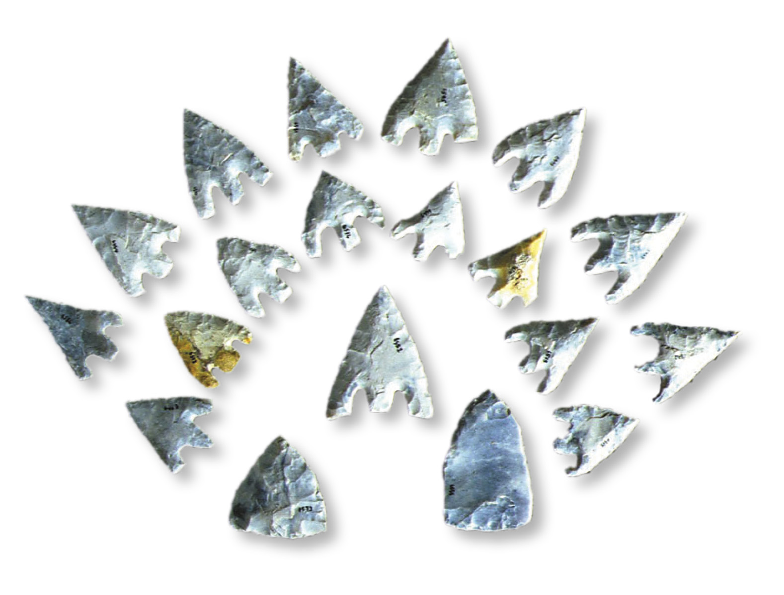 above Artefacts associated with the Bell Beaker Complex include flint arrowheads, stone wrist bracers, and copper knives.