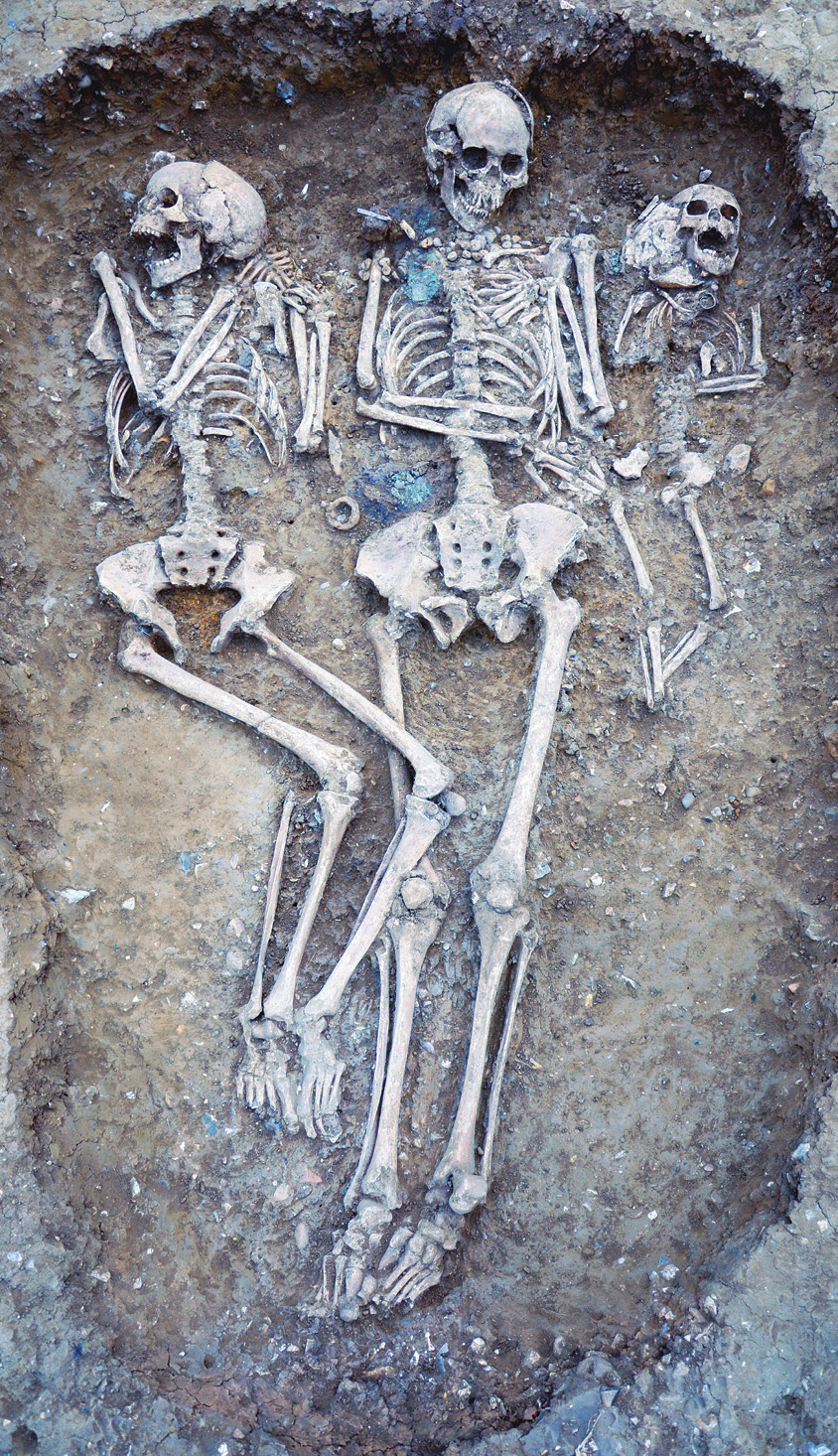 ABOVE Grave 109 at Oakington is a rare triple burial, containing the remains of a female infant, a young woman, and an older woman. Surprisingly, aDNA analysis did not reveal a close genetic relationship between any of them. (See our ‘Context’ spread in CA 283 for more discussion of the positioning of these individuals and their grave goods.)