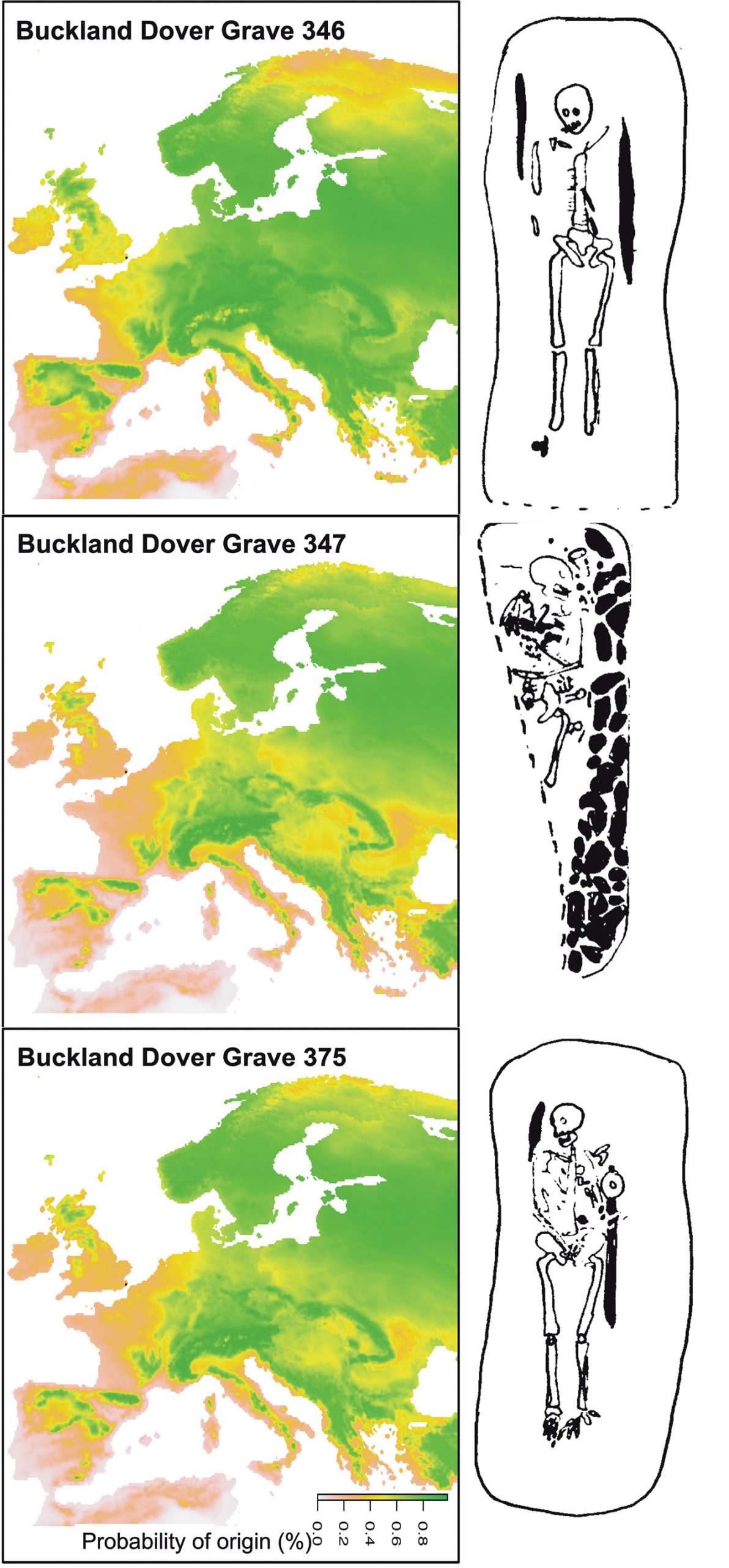 left Possible origins for the three genetically related individuals in Graves 346, 347, and 375 at Buckland.