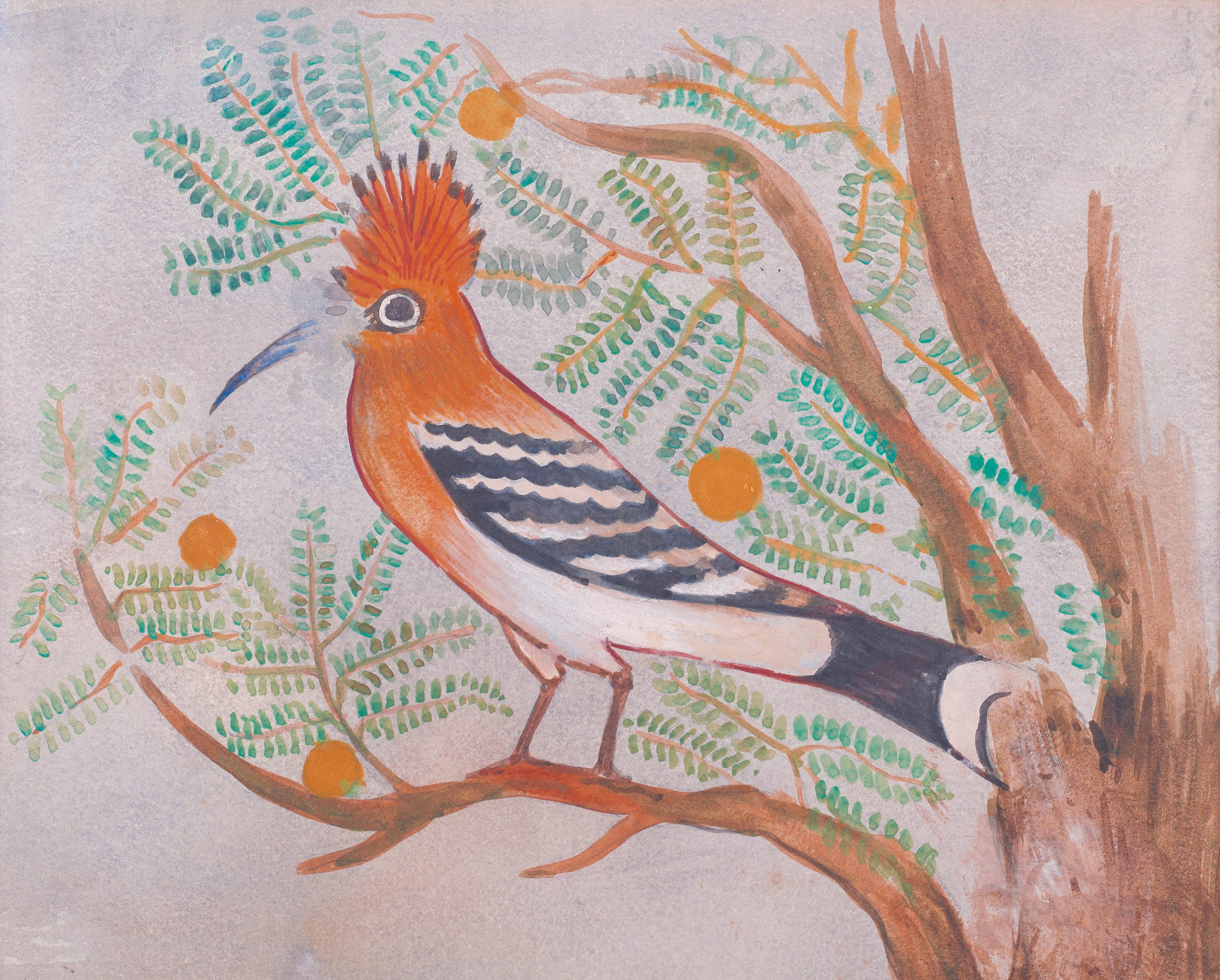 opposite page A hoopoe bird in an acacia tree, as depicted in the tomb of Khnumhotep II, painted by Howard Carter. LEFT A map of Middle Egypt showing the area to be covered by the EEF Archaeological Survey of Egypt between el-Minya in the north and Mallawi in the south.
