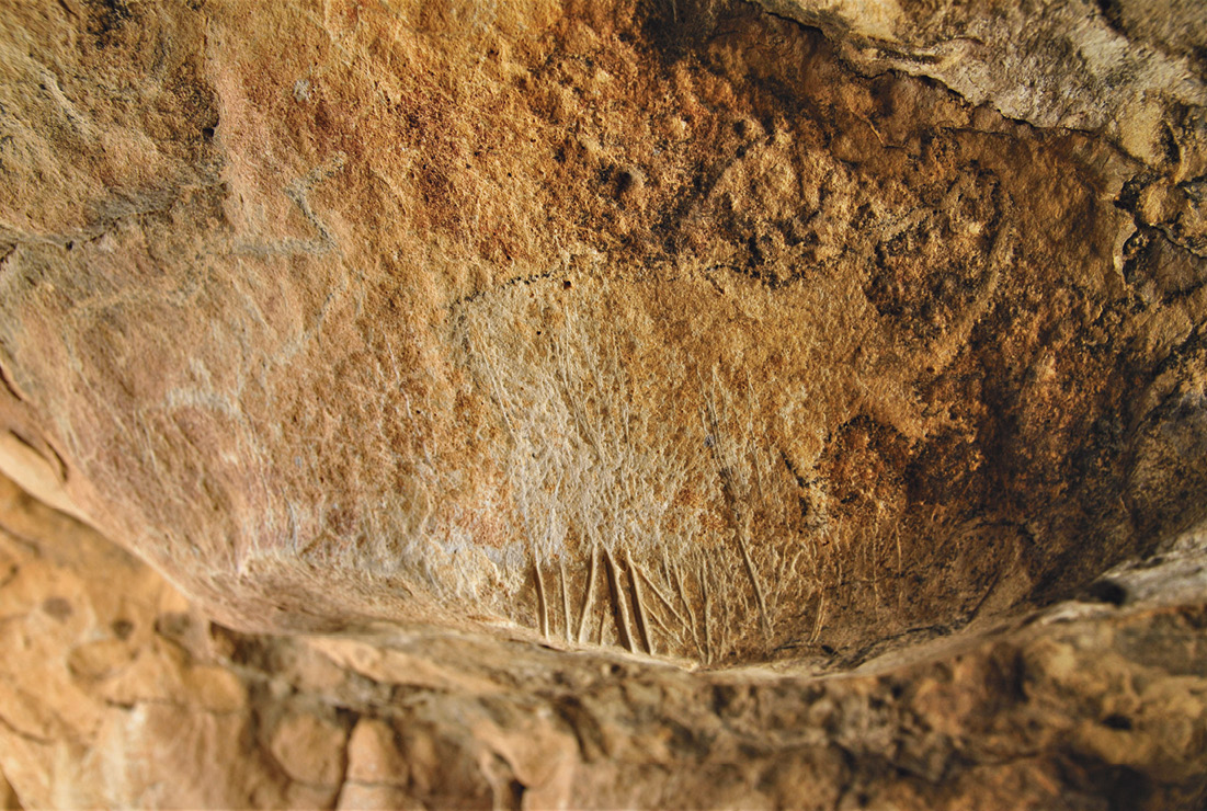 below & below right A comparison of the original photograph taken of rock art, and the D-Stretched image. This clearly shows an engraved bovine with later tooling marks covering the lower section of the body.