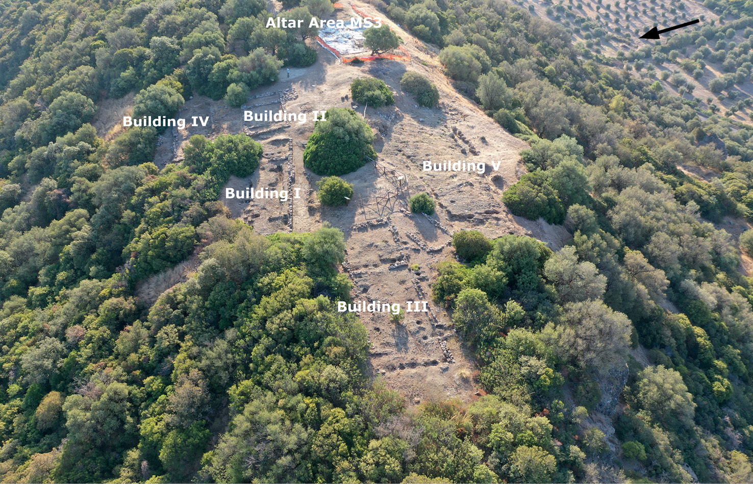 LEFT The sanctuary held at least five sacred buildings (buildings I V) located at the western part of the summit of the Timpone della Motta. Foundations from these buildings were constructed of river stones, and they can still be viewed at the site. The altar area known as MS3 can be seen at the top of the image. BELOW The altar area called MS3 in the sanctuary on Timpone della Motta, seen from above. This area contains the remains of a raised structure and a pathway, both constructed with naturally rounded river stones. Postholes from earlier structures can be seen in the upper right side of the photo. BOTTOM One of the votive deposits in which glass beads were found.