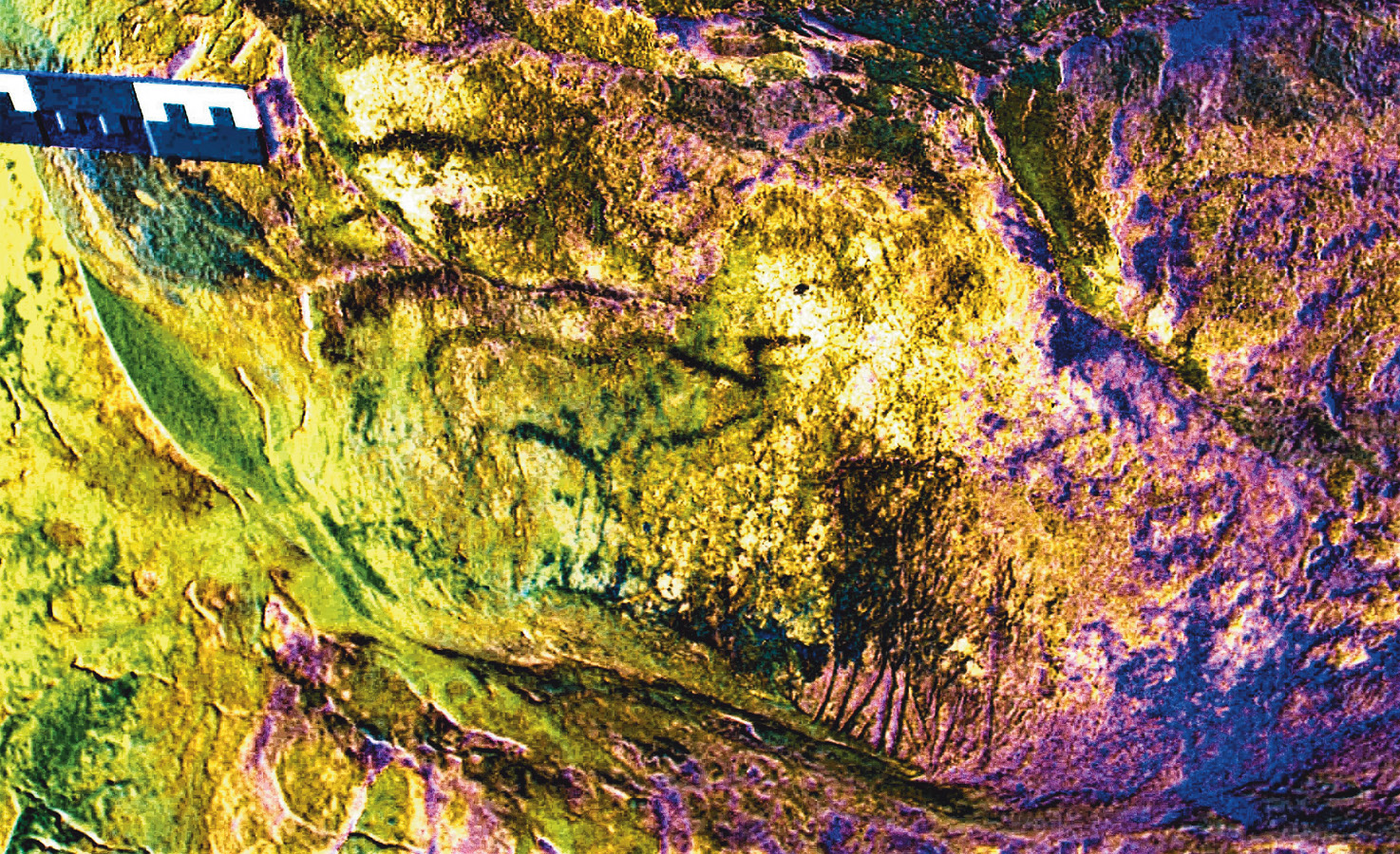 left This D-Stretch image shows one of at least four animals carved and painted on the cave ceiling.