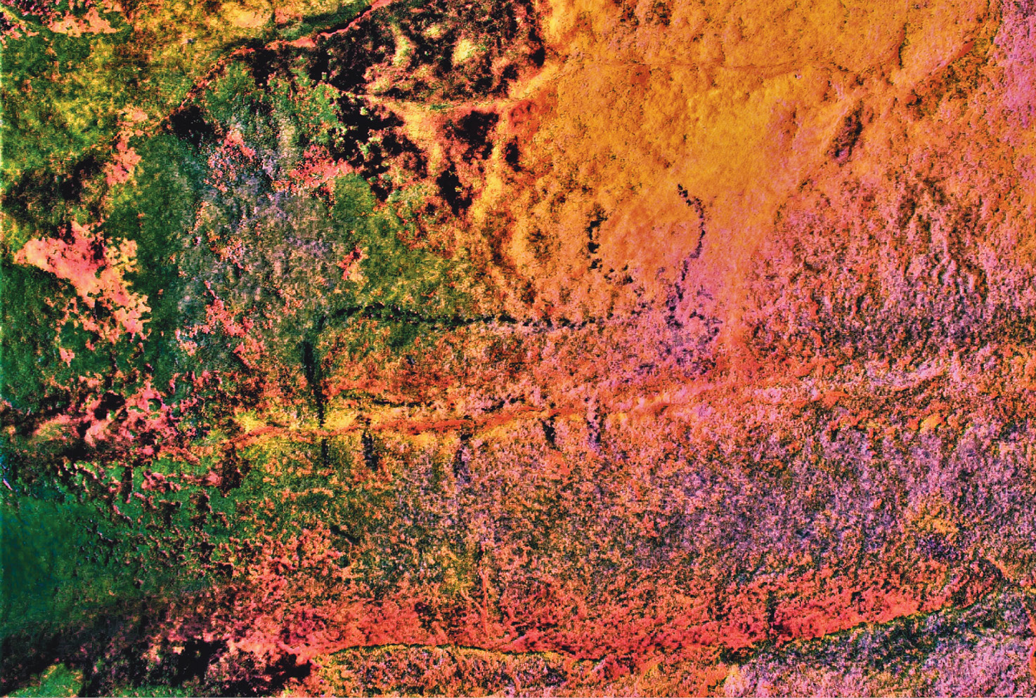 left The pecked outline of a bovine. The presence of such cattle, and other animals depicted in the rock art, suggests the former presence of a grassland environment.