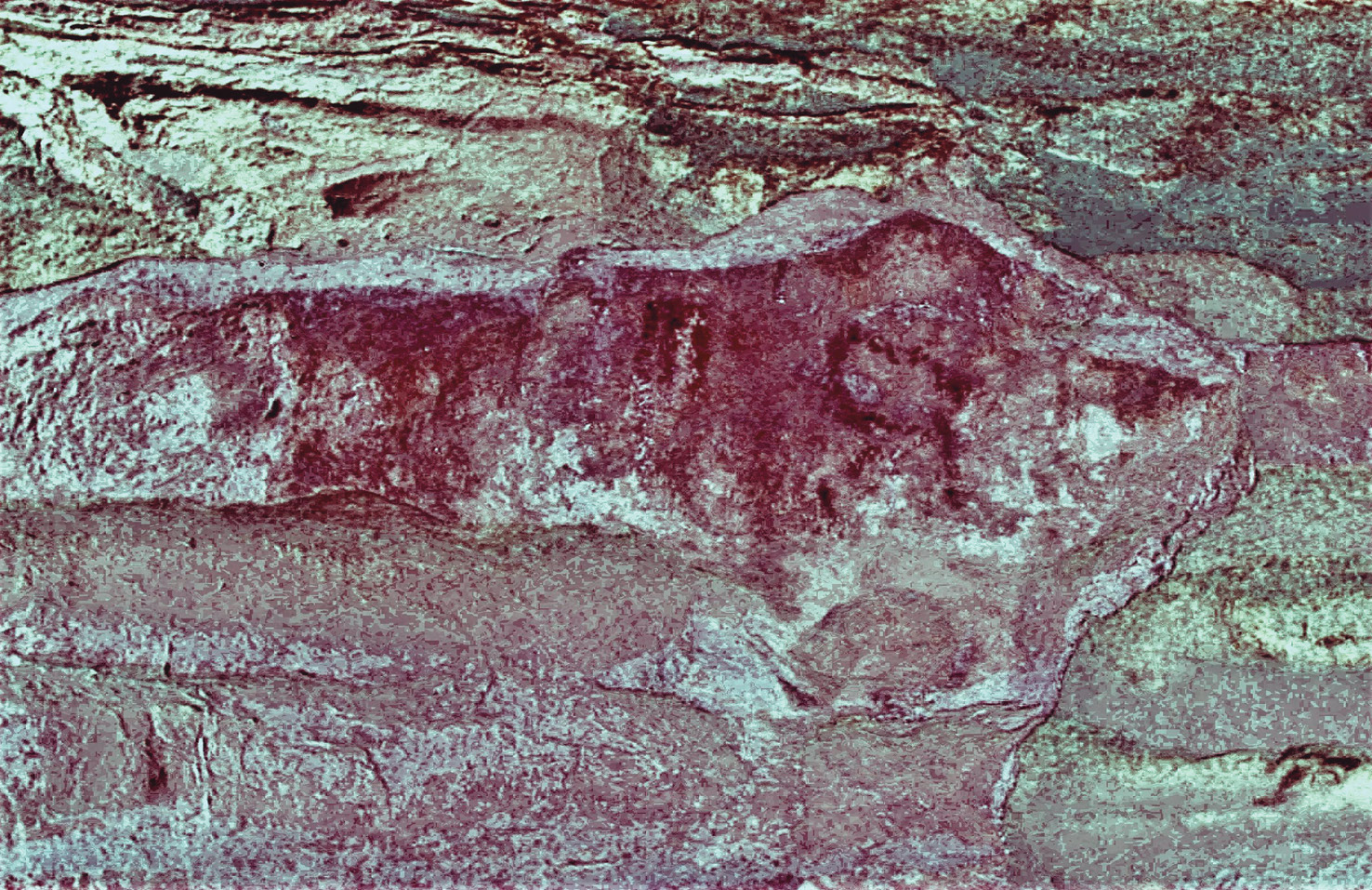 Above left Rock art exposed on a vertical panel. Using the desk-based algorithm D-Stretch reveals at least three phases of imagery, including bovines, deer, and historic
