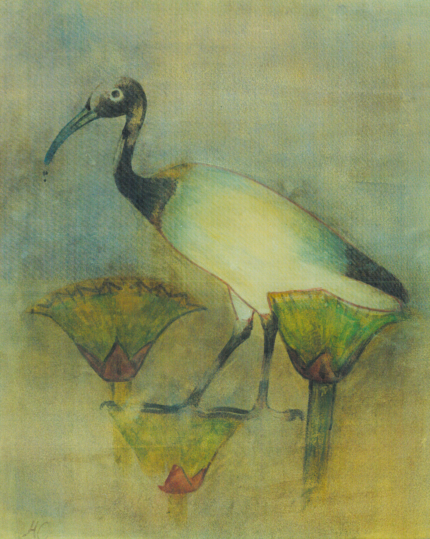 above A sacred ibis in the papyrus marshes as depicted in the tomb of Khnumhotep II, painted by Howard Carter (note the initials, lower left). below A ring discovered at Amarna during the excavations of William Matthew Flinders Petrie. The bezel contains the throne name of Tutankhamun: Nebkheperura. Artefacts like this may have brought the young pharaoh to Carter’s attention very early in his archaeological training.