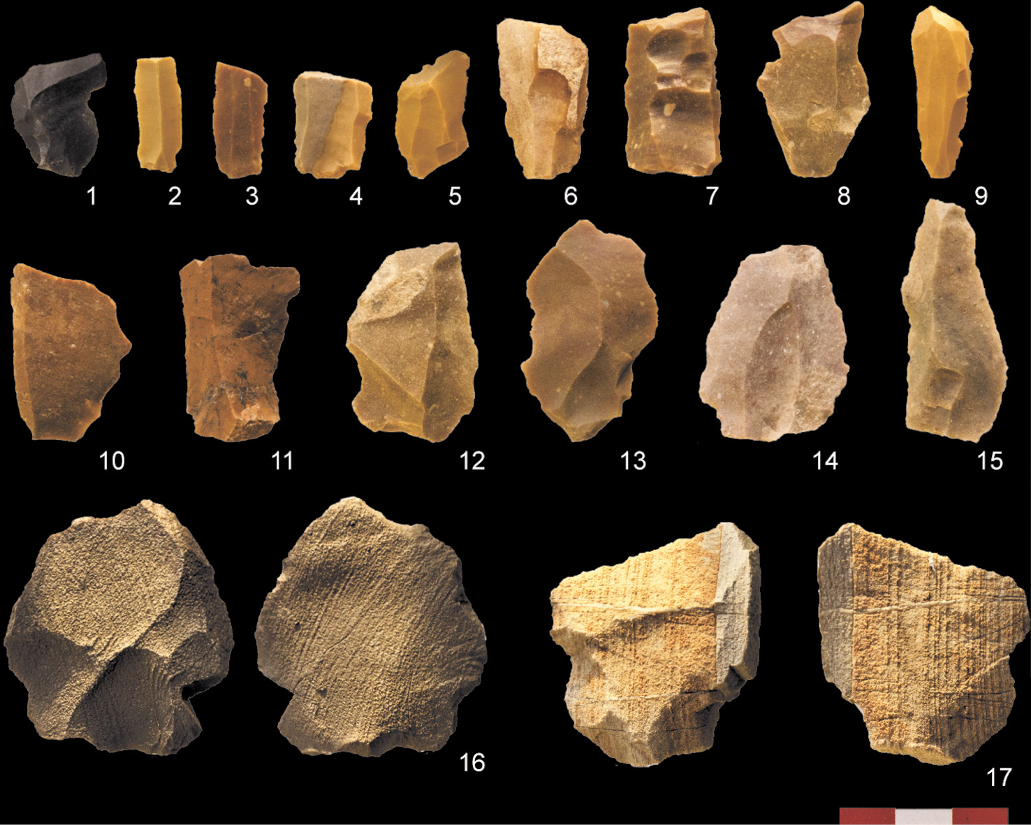 lEft These lithics were recovered from the western flank of the site. All of the stone artefacts show great diversity in raw materials by using non-local flint and chert variants. The two larger pieces numbers 16 and 17 are of possible Palaeolithic date.