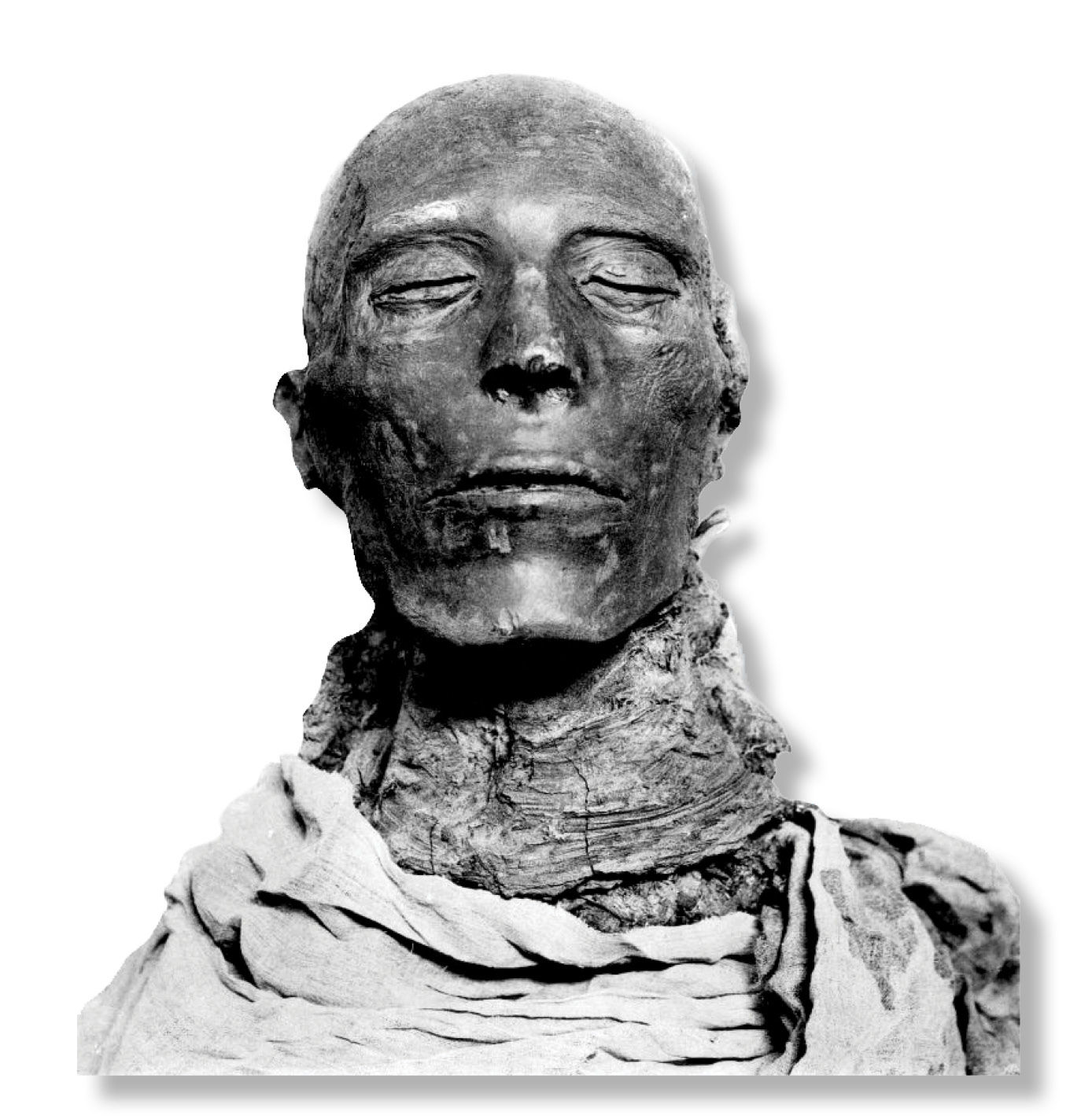Right Face of the mummy of Seti I, who ruled from 1294 to 1279 BC and is the father of Pharaoh Ramesses II. This well-preserved profile was used to design the appearance of the resuscitated mummy in the 1999 film, The Mummy.