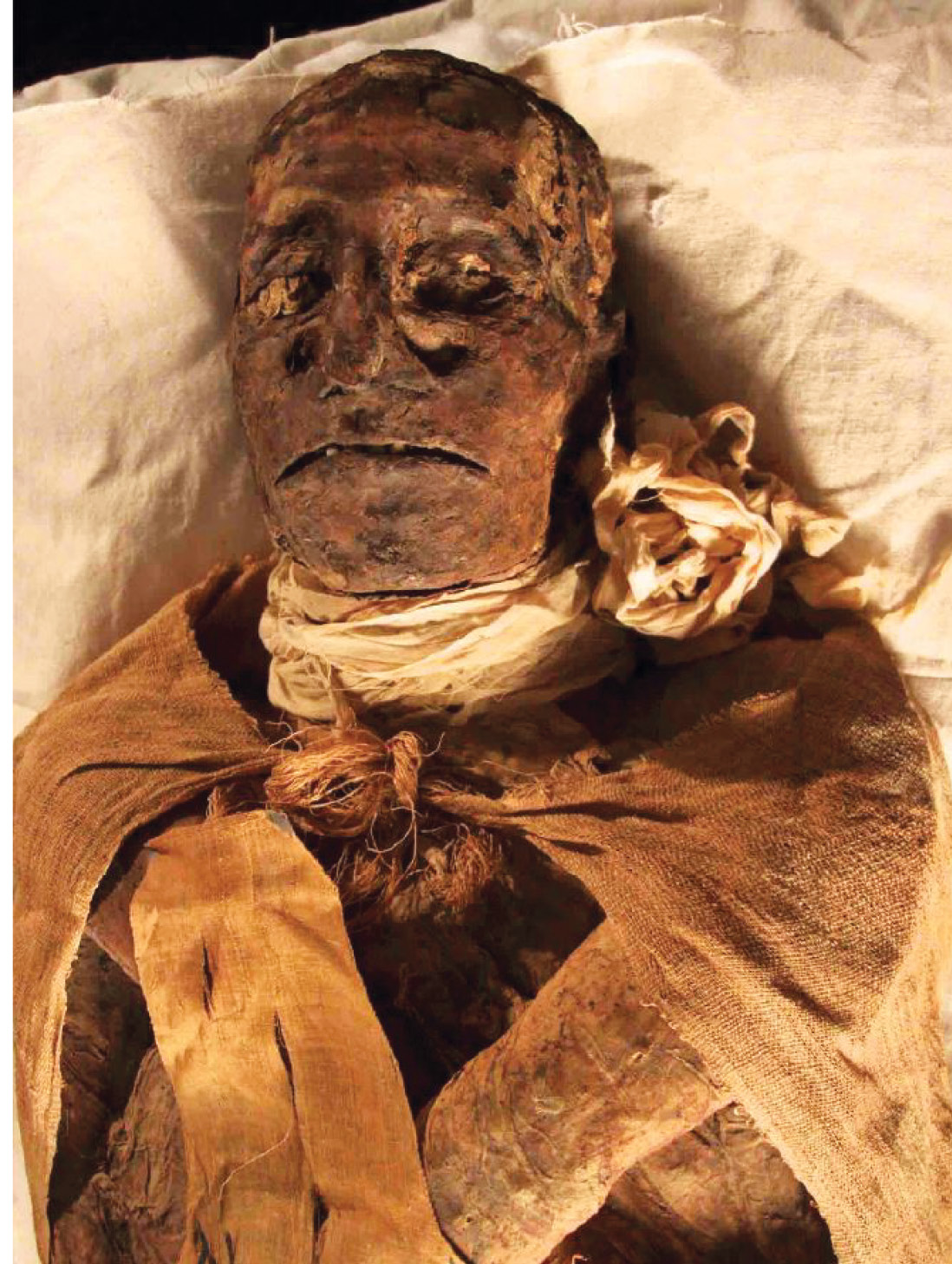 ABOVE The mummy of Ramesses III as shown in the Egyptian Museum of Cairo. The linen wrapped around his neck holds the amulet of the oudjat (eye of Horus) against his cut wound, probably to ‘heal’ the royal for his afterlife. RIGHT After Howard Carter and Douglas Berry discovered the coffin of Pharaoh Tutankhamen, the body was aggressively unwrapped of its linen. The head was severed in order to remove the golden mask now in the Egyptian Museum of Cairo. The arms were straightened even though they had originally been crossed in front of the chest.