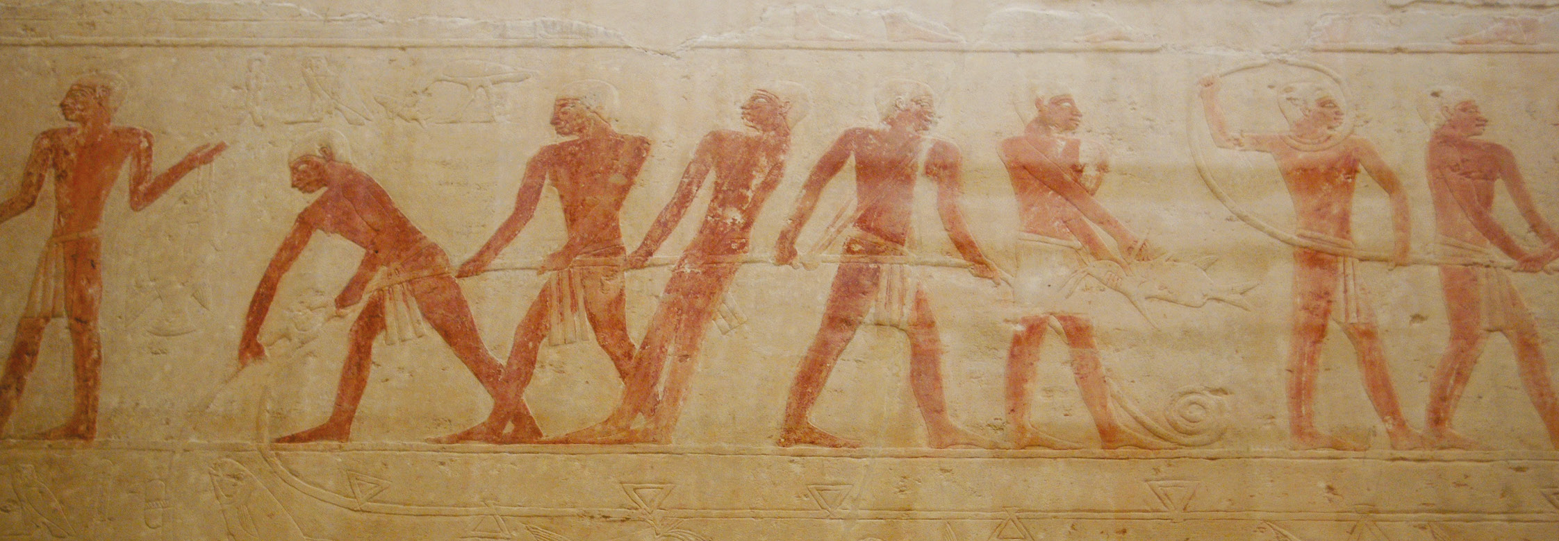 above Seine-netting. A scene from the tomb chapel of Akhethotep. left A Nile perch (Lates niloticus), the most prestigious of edible species, whose Egyptian name means ‘fighting fish’. A tomb relief now in the Musée du Louvre.