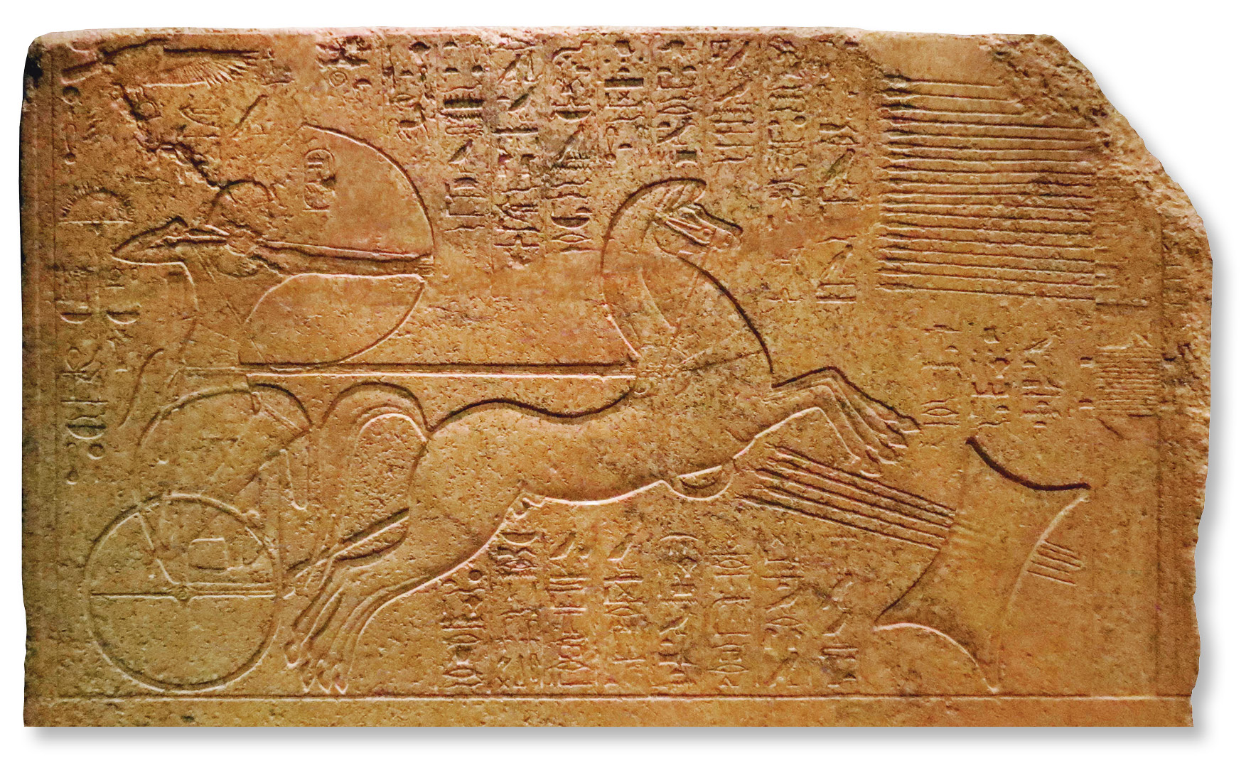 right Amenhotep II demonstrates his prowess at archery on a relief that was found reused in his grandson Amenhotep III’s Third Pylon at Karnak. The king fires arrows into a copper ingot. It was subsequently emulated by later kings, regardless of whether they were capable of such feats.﻿