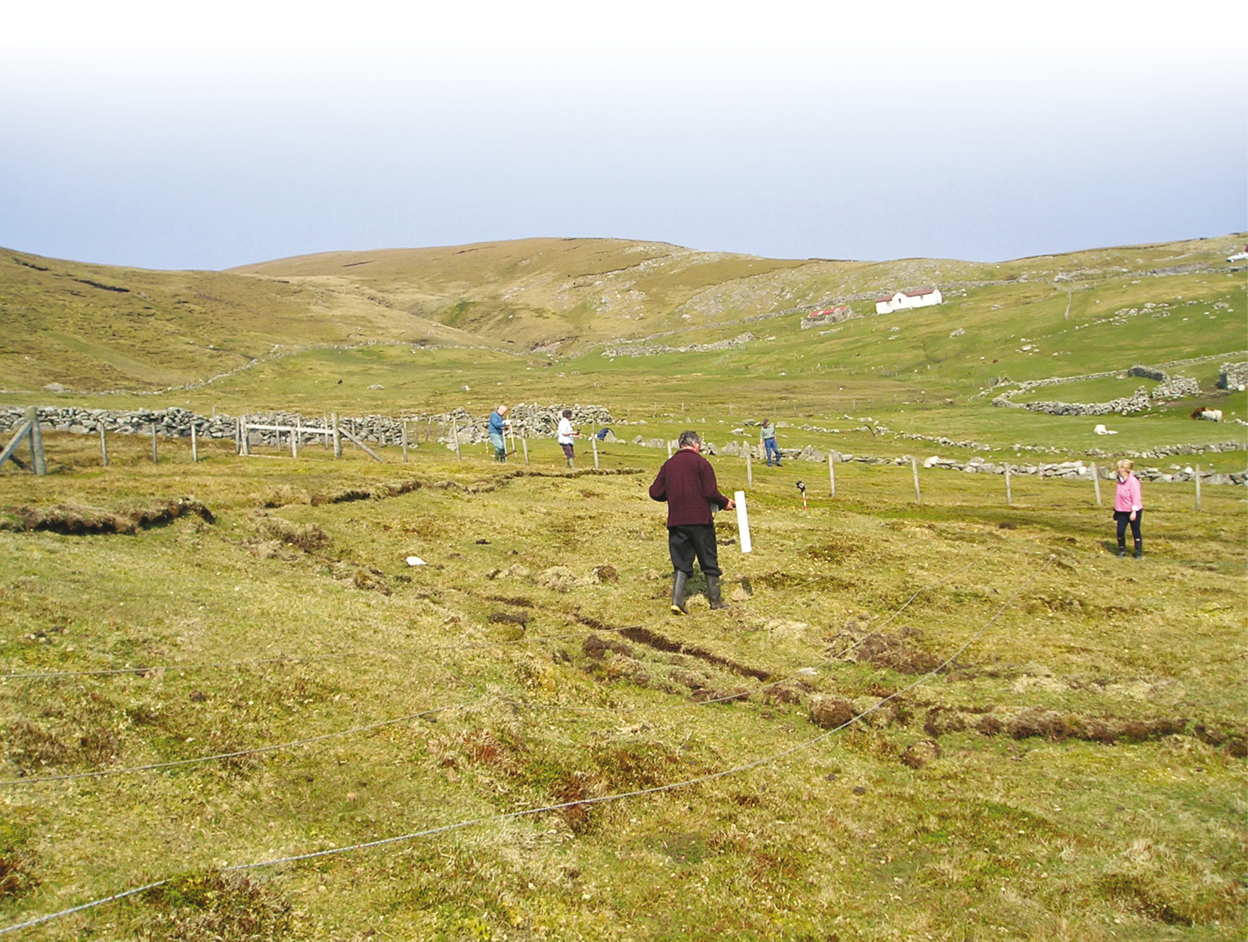 Above main Nine acres in the Harrier Valley were surveyed using both resistivity and magnetometry. Above inset A group of protruding stones was also recorded, apparently forming a ring. The position of this ring is shown by the arrow. Right Back home, when survey results were plotted, they appeared to reveal two concentric rings of stones, forming an ‘egg-shape’. The plan also shows the location of the excavation trenches dug the following year.