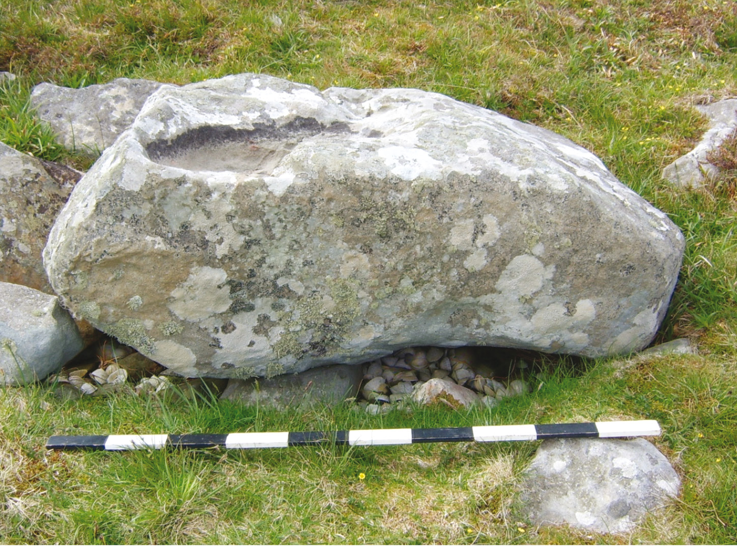 Above This large stone, Stone 42, to the north-east was deliberately laid in a recumbent position. From inside the ring it appeared to mark the midsummer sunrise.