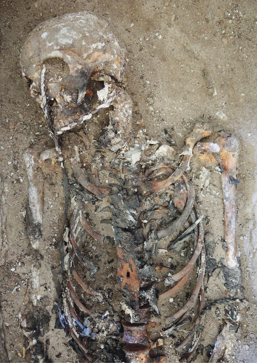 below The skeleton of the man as excavated. Rope can be seen running from his skull down his body, while the dry organic material is also visible. Bottom A 10cm-long pointed stick was found between the fifth and sixth ribs on the left side of the man’s chest.