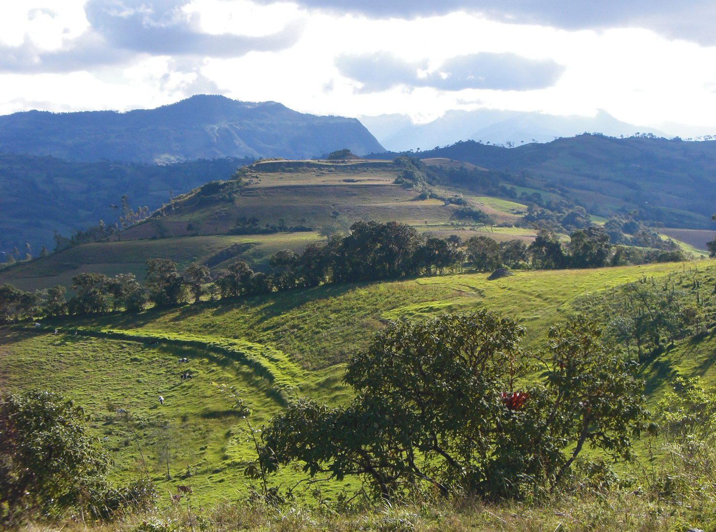 right A view of the Pacopampa site. This ceremonial centre lies at a height of 2,500m above sea level and comprises three tiers of platforms, which cover roughly 4ha.