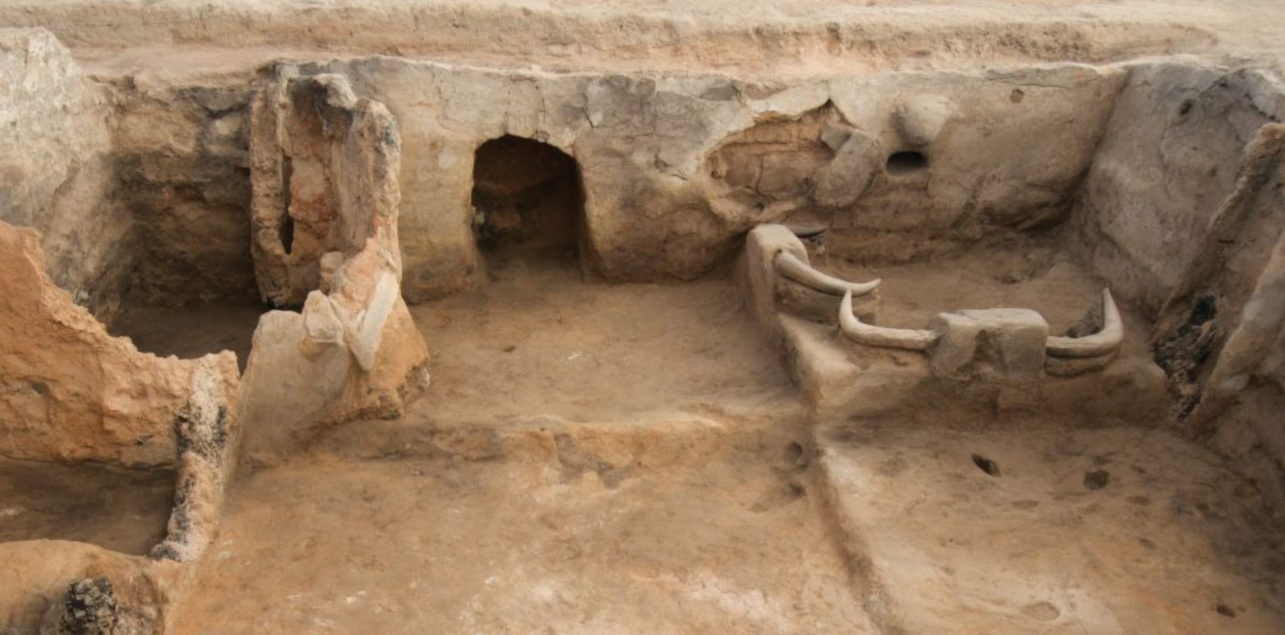opposite Scientific analyses are revealing fascinating new details about prehistoric individuals and their homes at a group of sites on the Konya Plain in Turkey. Here we see wild bull horns arranged around a burial platform in a house Building 77 in the Neolithic settlement at Çatalhöyük.