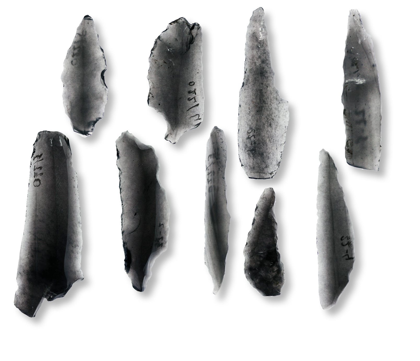 above Early Aceramic Neolithic chipped stone implements from the Akarca rock shelters. The large quantity of obsidian testifies to the existence of large-scale and long-distance exchange during this period.