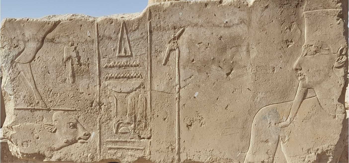 top A composite battle scene, drawn by Ray Johnson using blocks from Tutankhamun’s missing temple. left Another part of Ray Johnson’s composite Tutankhamun battle scene, showing the presentation of severed hands. above Another block from the missing temple of Ay and Tutankhamun, now in the Open Air Museum at Karnak. The scene depicted is part of the ‘Driving of Four Calves’