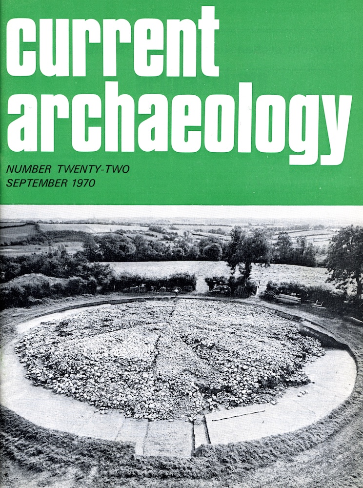 Current Archaeology 22