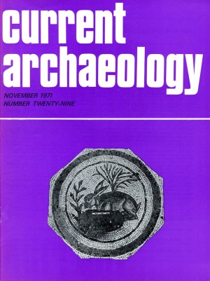 Current Archaeology 29