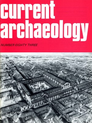 Current Archaeology 83