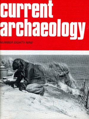 Current Archaeology 89