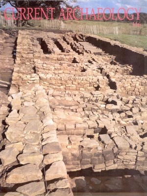 Current Archaeology 116