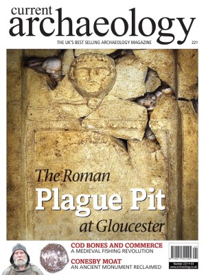 Current Archaeology 221