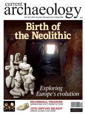 Current Archaeology 229