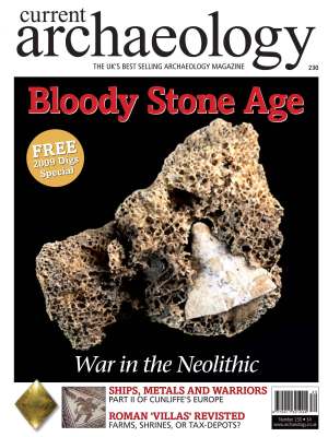 Current Archaeology 230