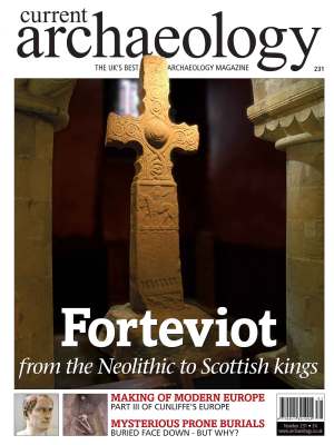 Current Archaeology 231