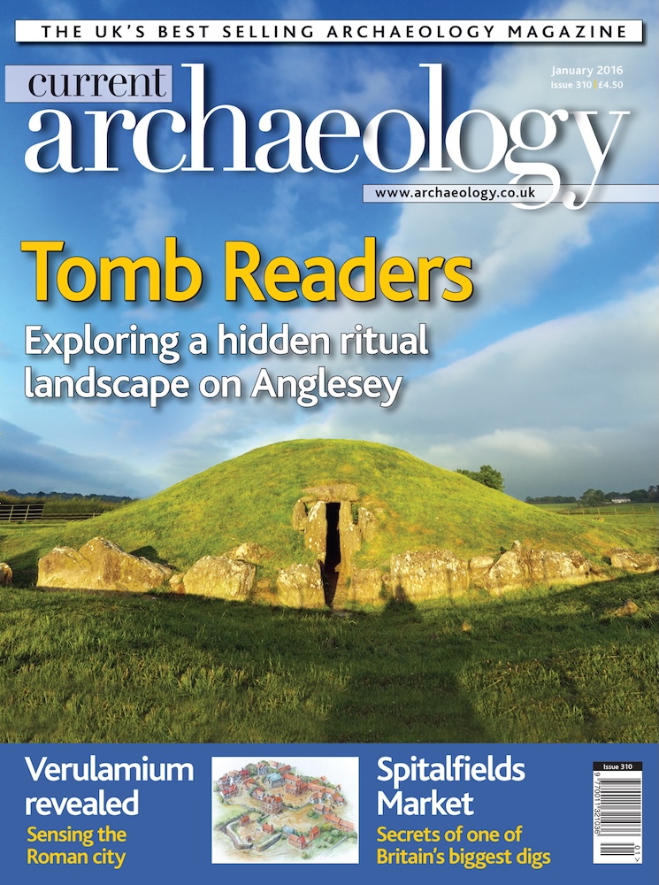 Current Archaeology 310
