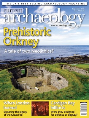 Current Archaeology 318