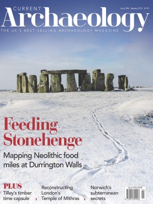Current Archaeology 334